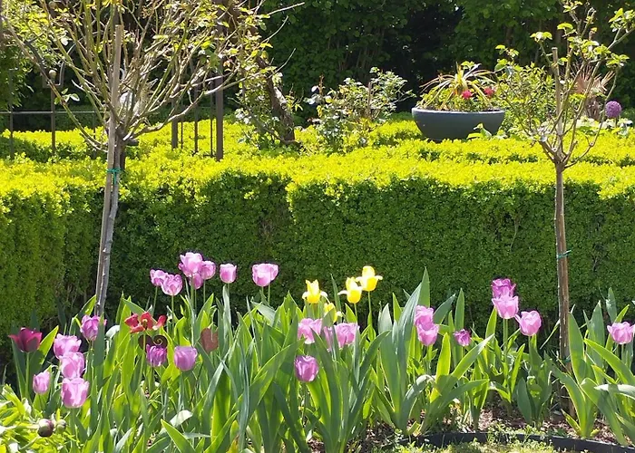 Le Palazzo Yes 3* Woel